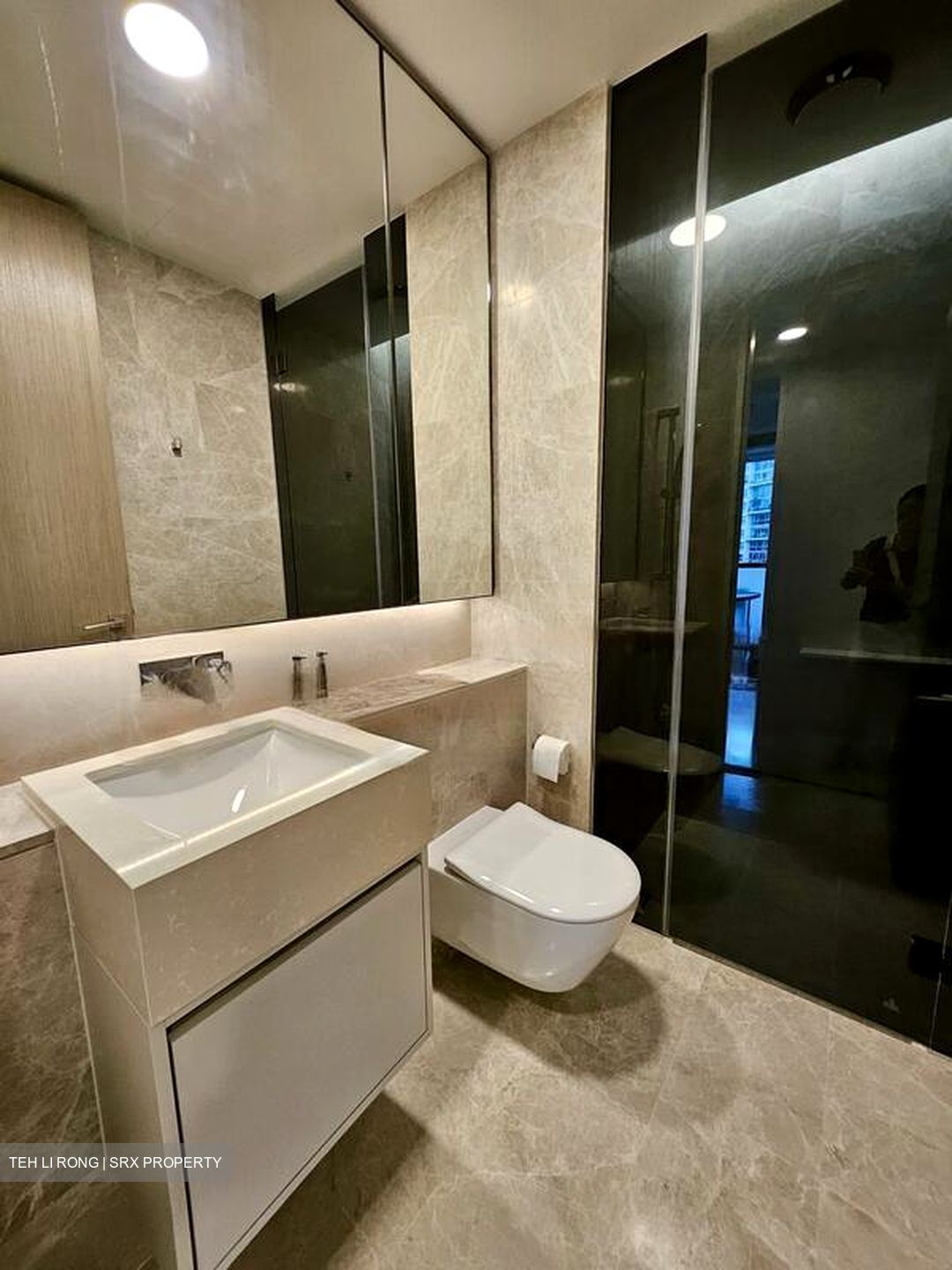 Amber Park (D15), Condominium #455932771